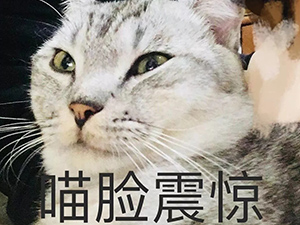 珠海裝修沒(méi)有后悔藥，這些越早知道越好！(文末有福利）