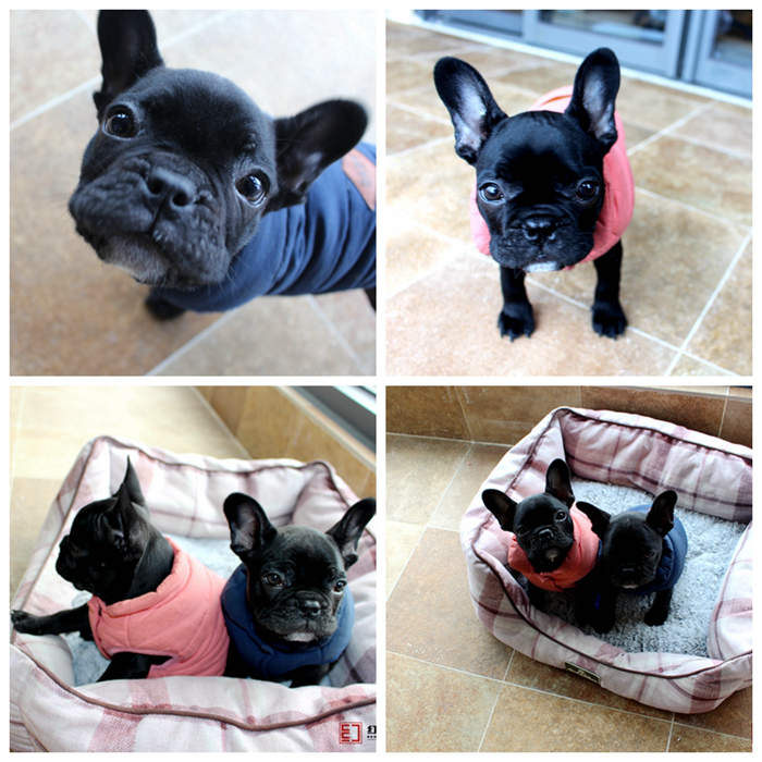 中鐵諾德國(guó)際花園現(xiàn)代輕奢裝修，珠海業(yè)主家軟裝搭配讓生活充滿儀式感！