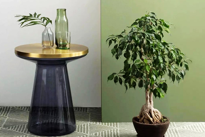 夏季高溫炎熱，送您清涼解暑空間搭配裝修設(shè)計(jì)！