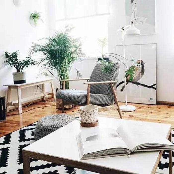 家居界的高顏值cp